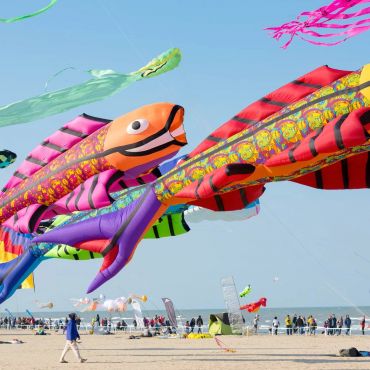 Festival of Kites